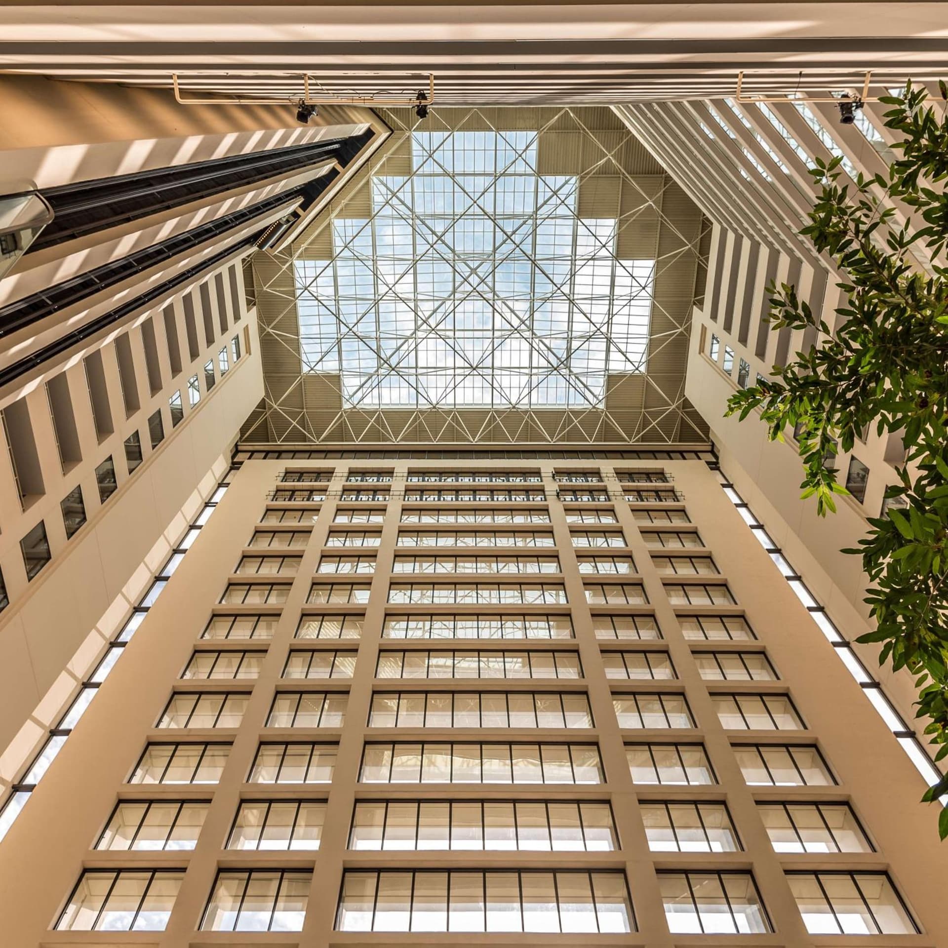 Hyatt Regency Grand Cypress Resort - Free Shuttle to Theme Parks! gallery photo in Orlando, FL — image 7
