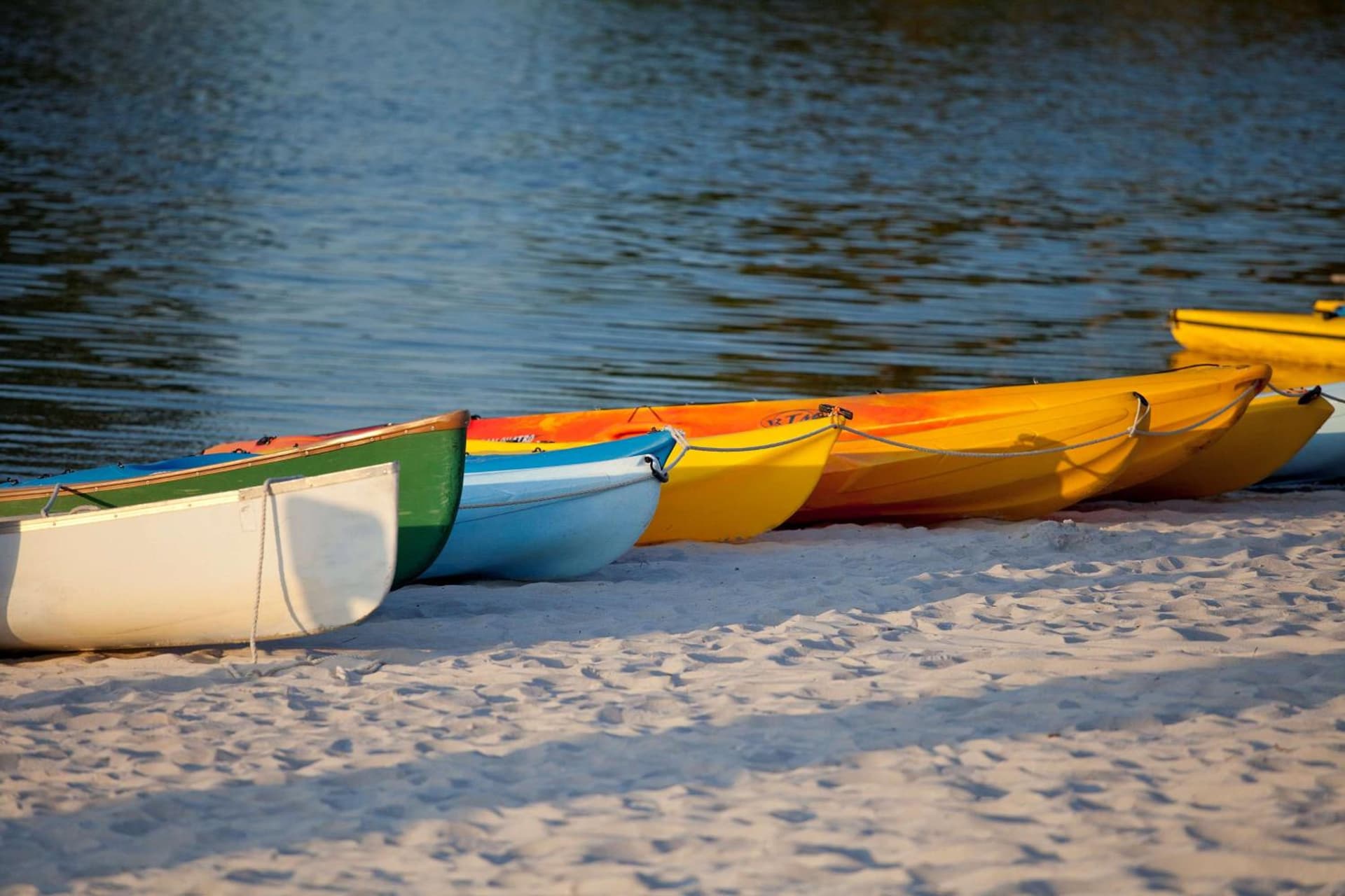 Hyatt Regency Grand Cypress Resort - Free Shuttle to Theme Parks! gallery photo in Orlando, FL — image 65