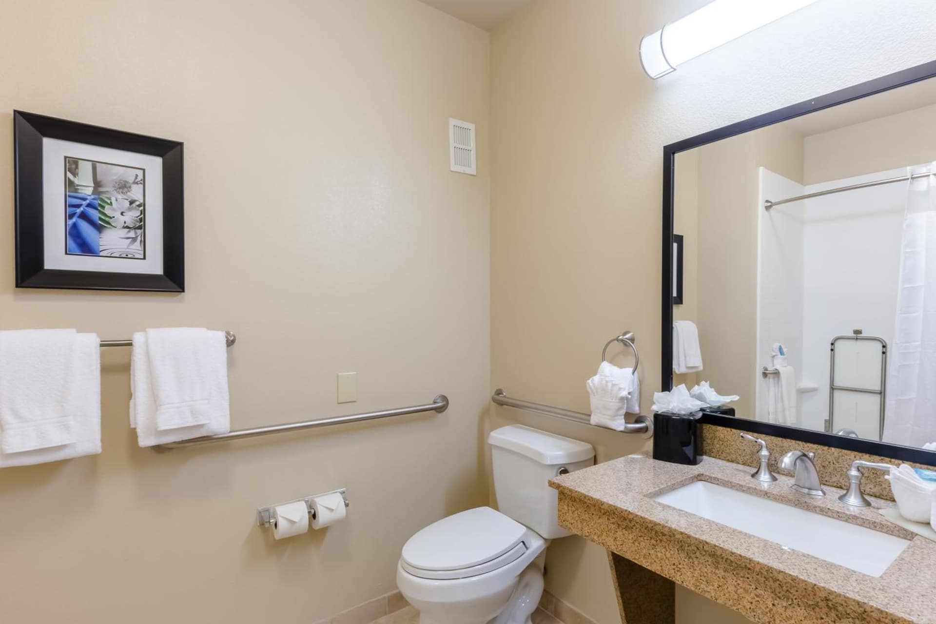 Holiday Inn Express Hotel & Suites Dallas West by IHG gallery photo in Dallas, TX — image 65