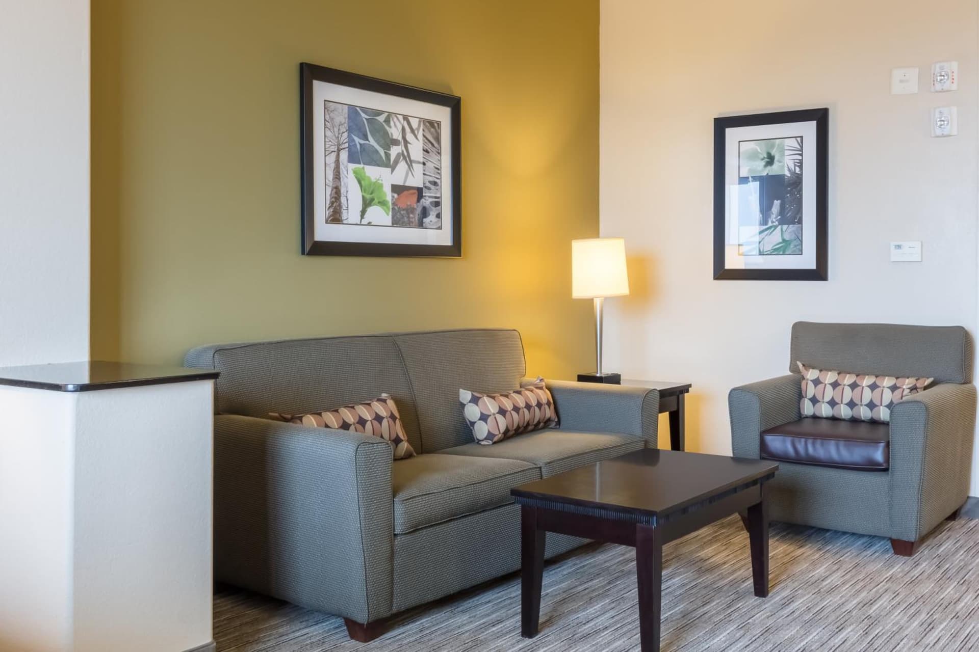 Holiday Inn Express Hotel & Suites Dallas West by IHG gallery photo in Dallas, TX — image 44