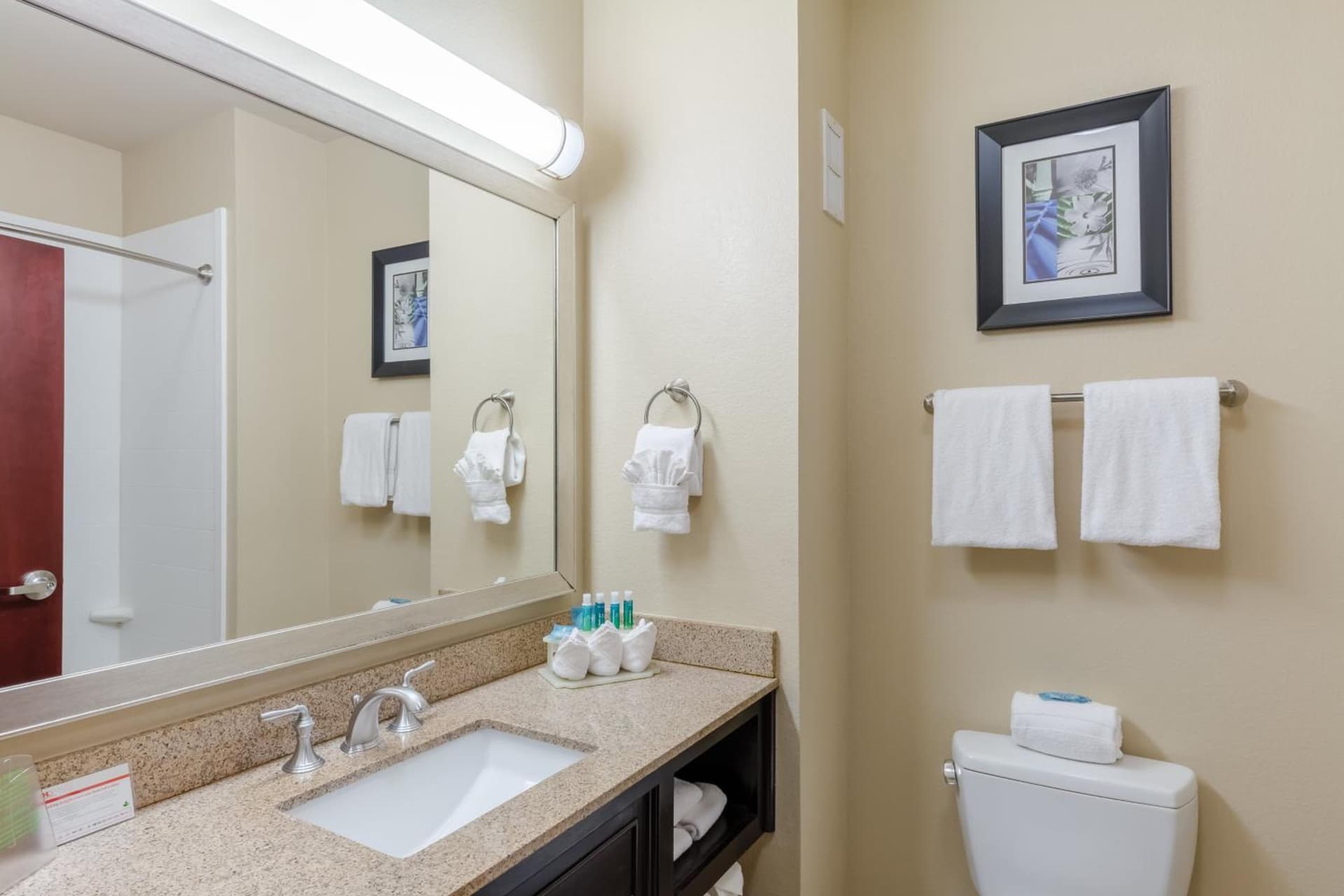 Holiday Inn Express Hotel & Suites Dallas West by IHG gallery photo in Dallas, TX — image 6