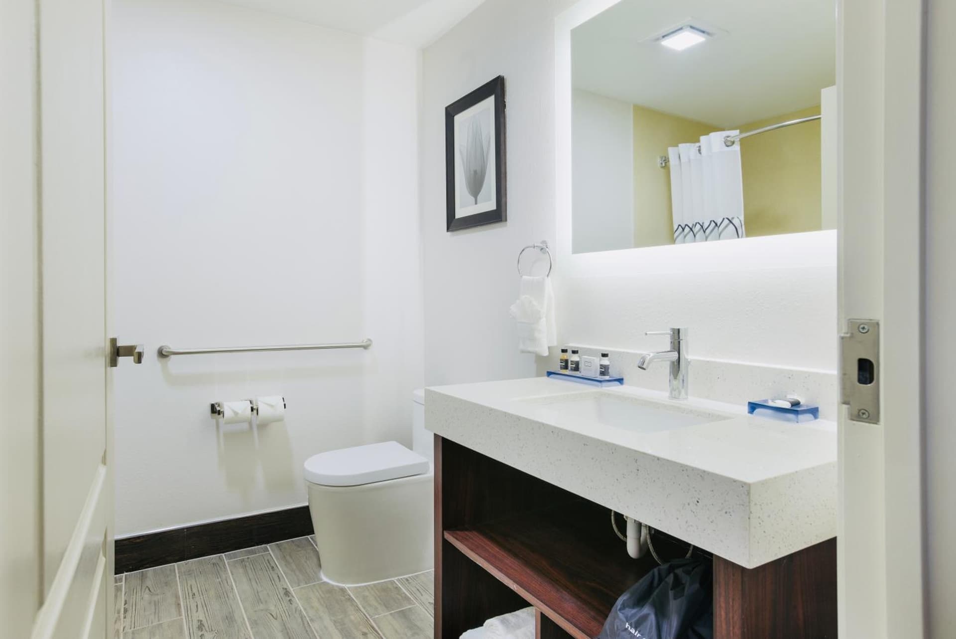 The Leo Collection Detroit, an Ascend Collection Hotel gallery photo in Lincoln Park, MI — image 38