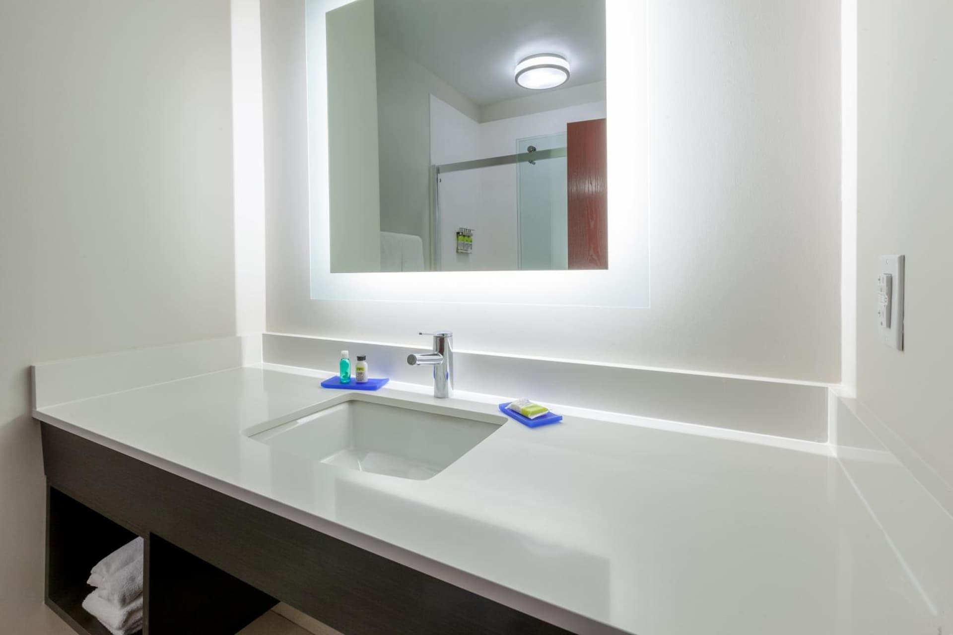 Holiday Inn Express Hotel & Suites Woodhaven by IHG gallery photo in Woodhaven, MI — image 6