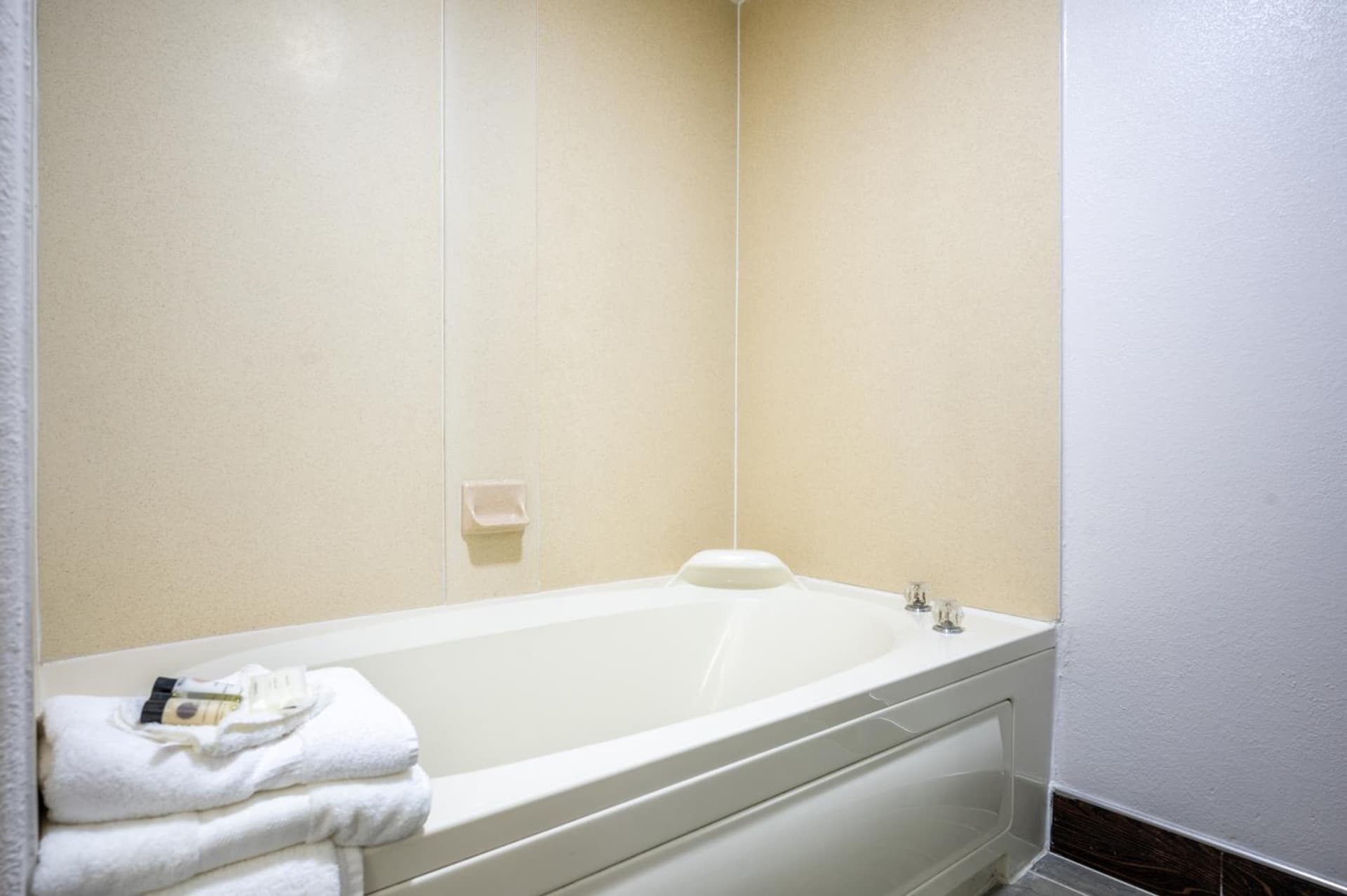 The Leo Collection Detroit, an Ascend Collection Hotel gallery photo in Lincoln Park, MI — image 41