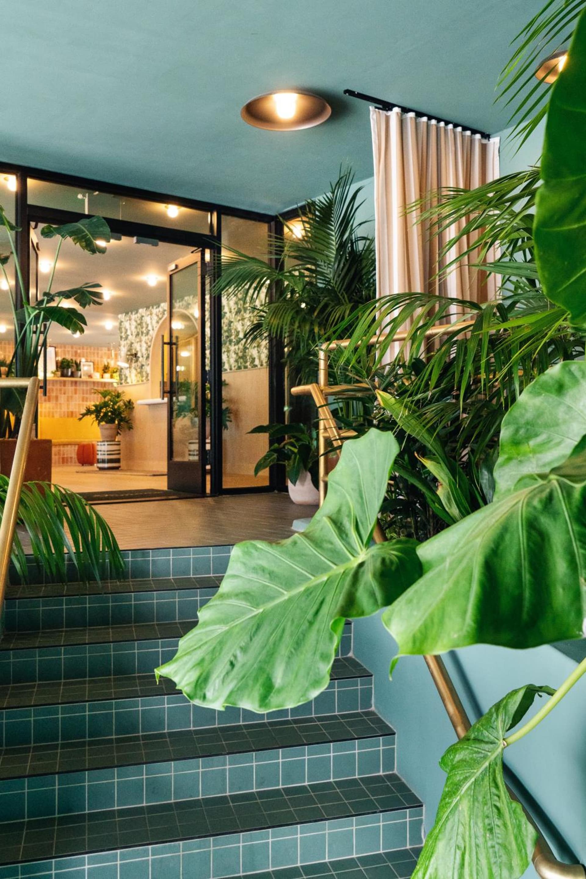 Palihotel Hollywood near Universal Studios gallery photo in Los Angeles, CA — image 23