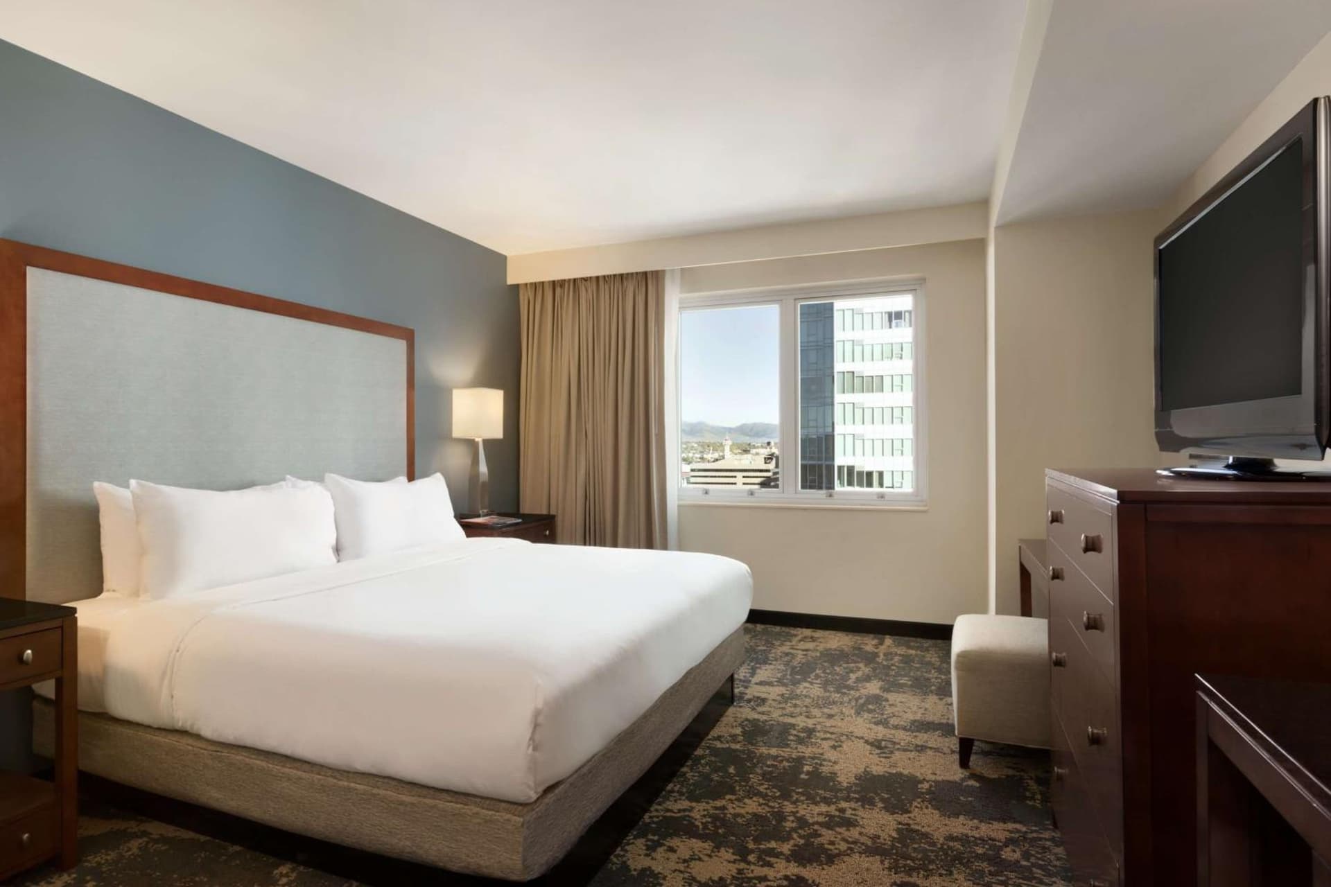 Embassy Suites by Hilton Denver Downtown Convention Center gallery photo in Denver, CO — image 52