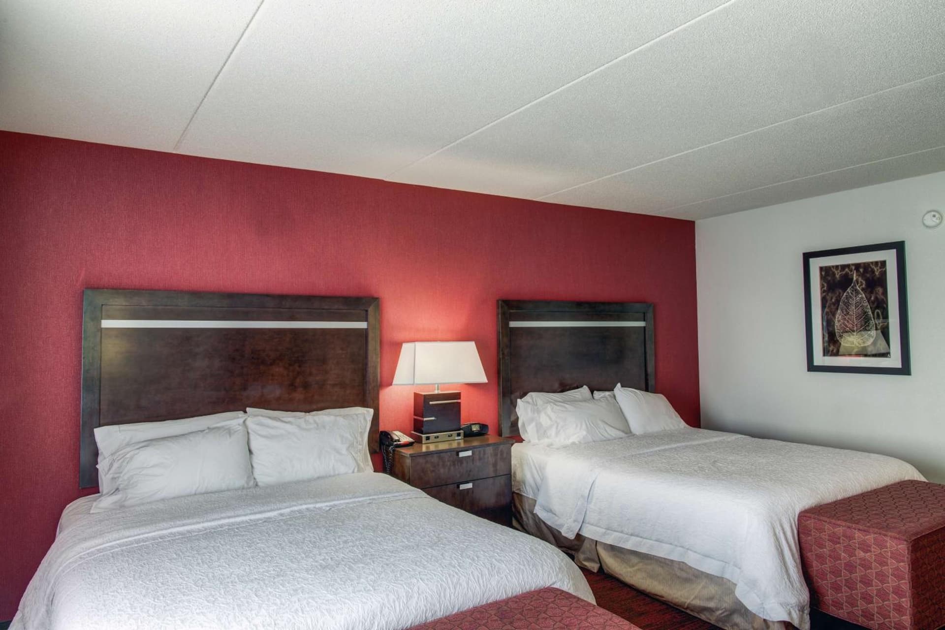 Hampton Inn & Suites Dallas Downtown property photo 8 of 50 in Dallas, Texas