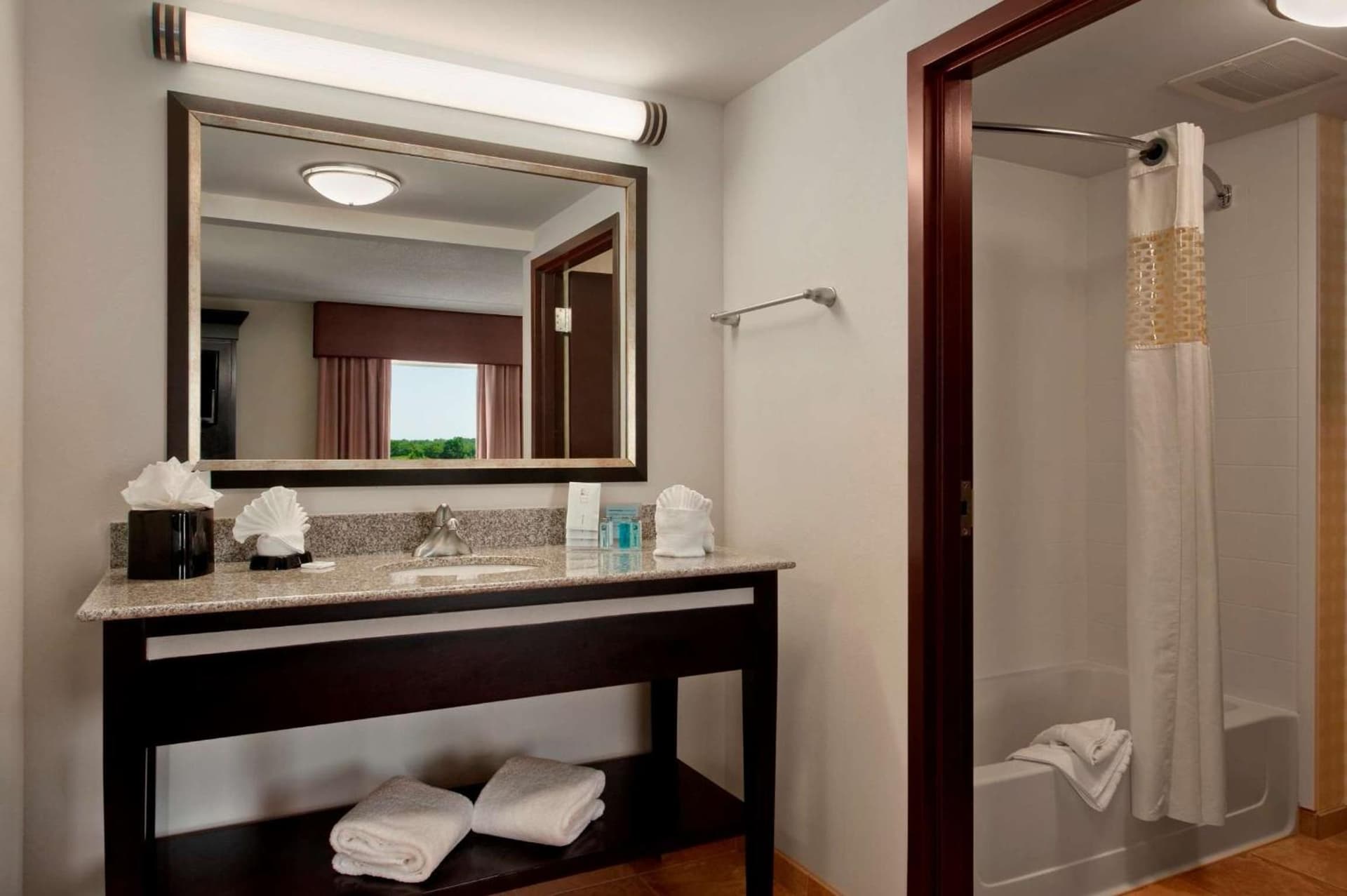 Hampton Inn & Suites Dallas Downtown property photo 23 of 50 in Dallas, Texas