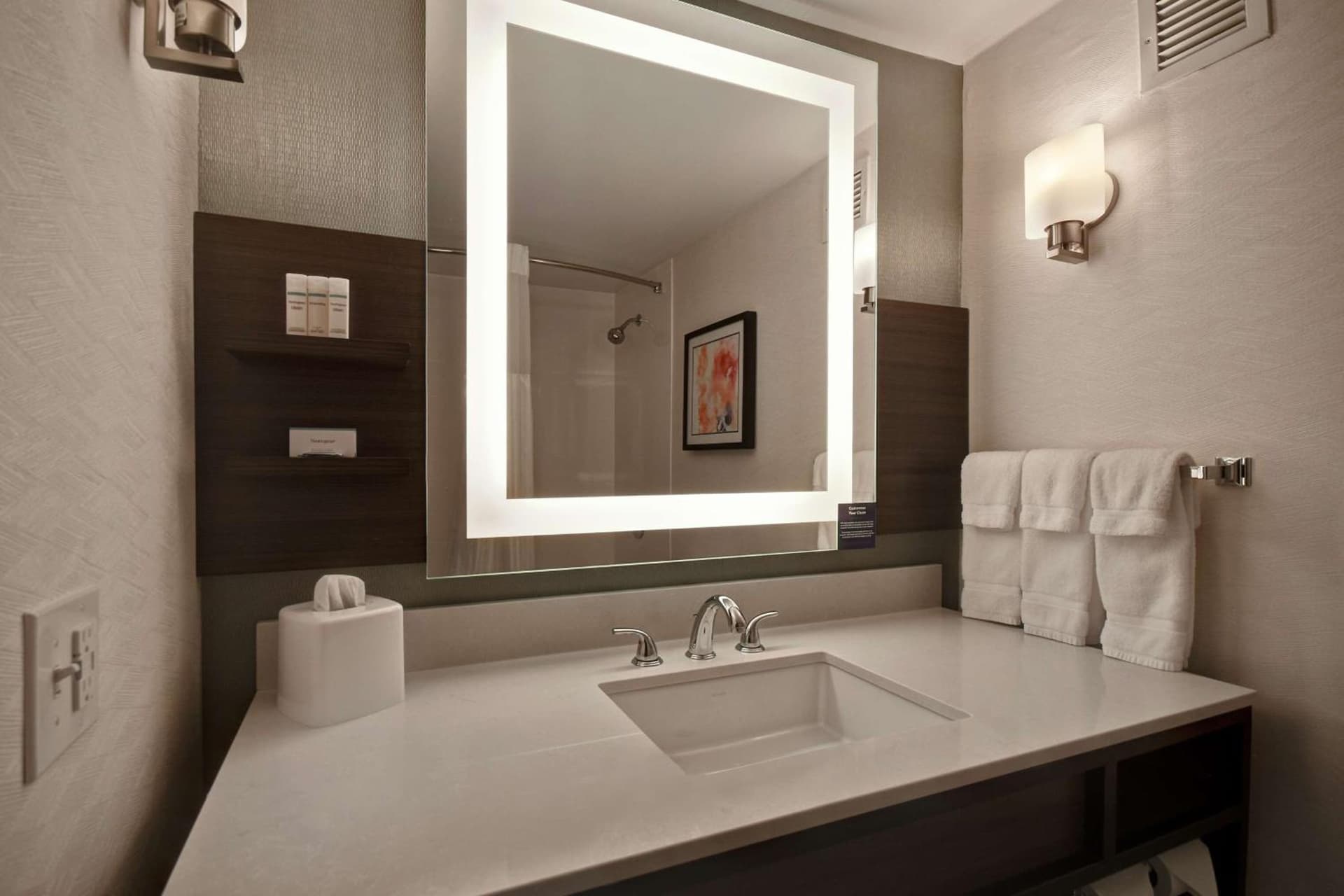 Hilton Garden Inn Detroit Metro Airport gallery photo in Romulus, MI — image 27