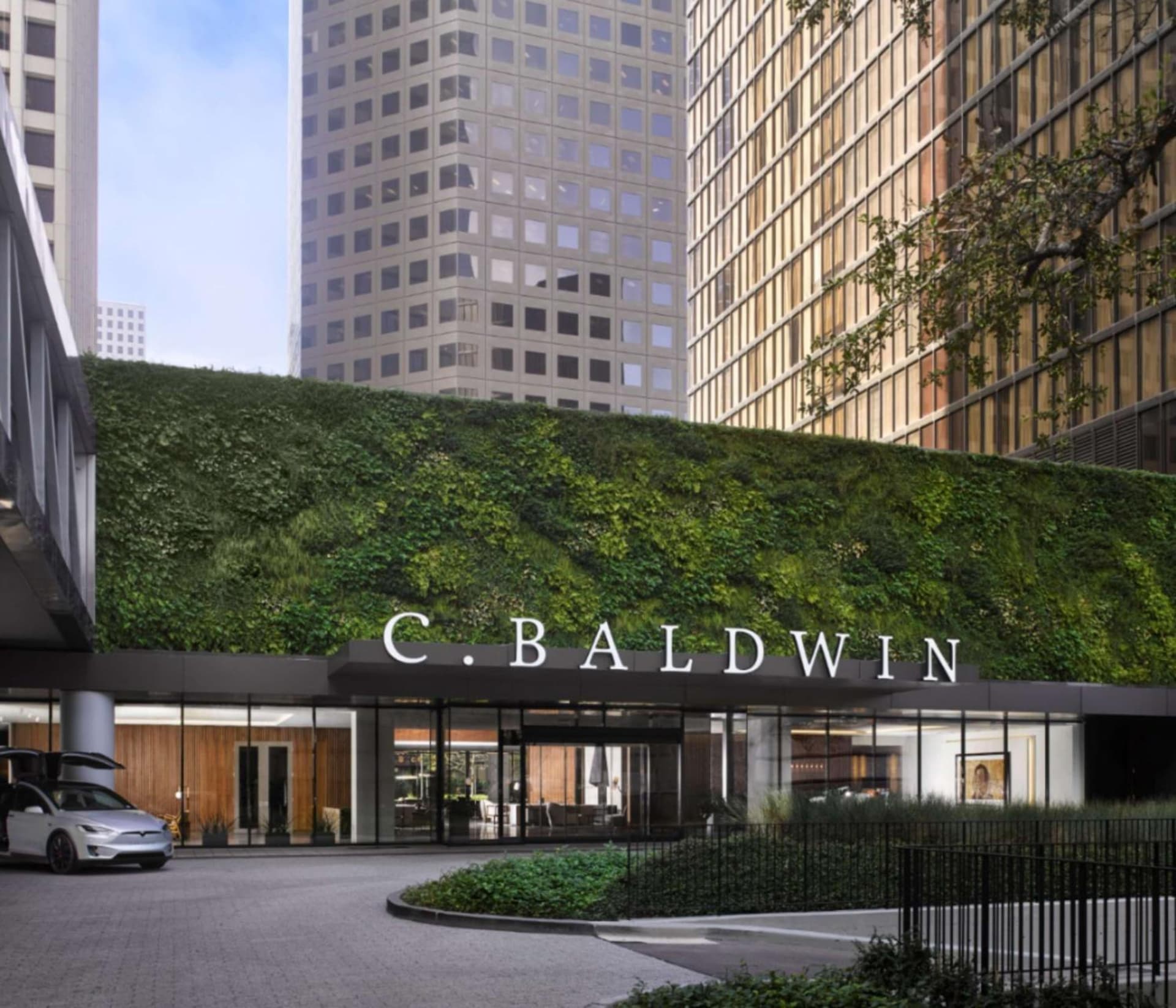 C. Baldwin, Curio Collection by Hilton gallery photo in Houston, TX — image 42