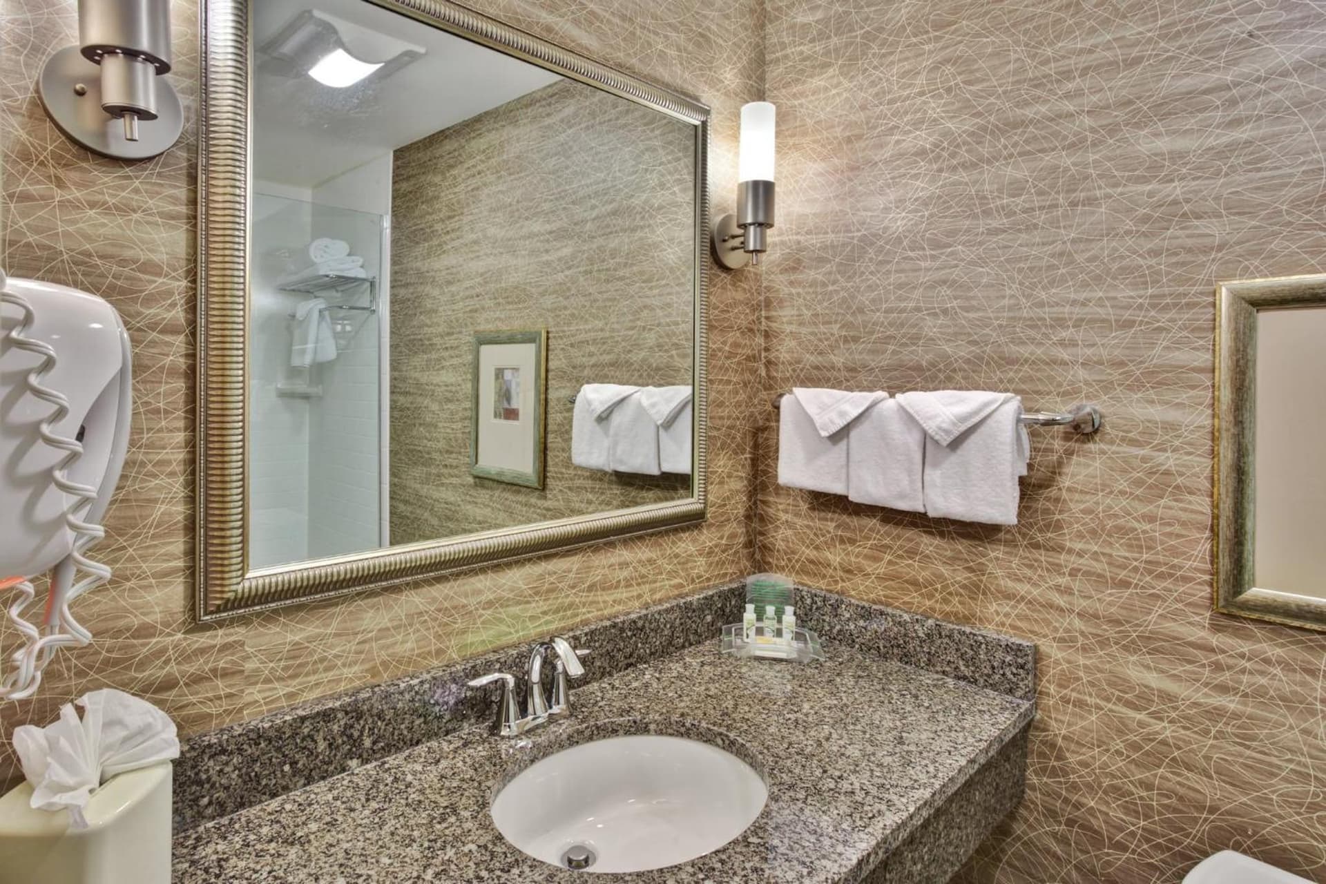 Holiday Inn Detroit Metro Airport by IHG gallery photo in Romulus, MI — image 27