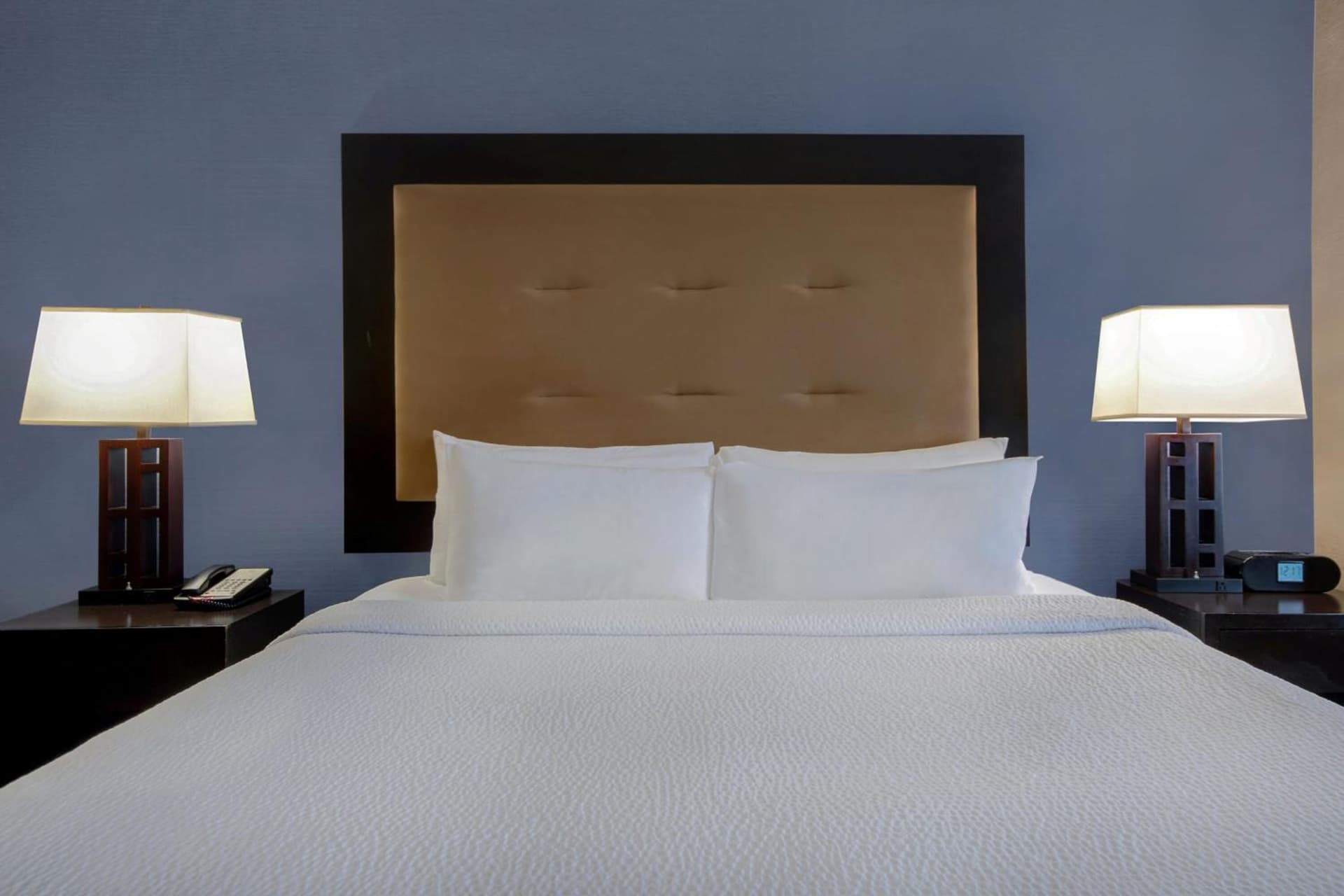 Holiday Inn Detroit Metro Airport by IHG gallery photo in Romulus, MI — image 35