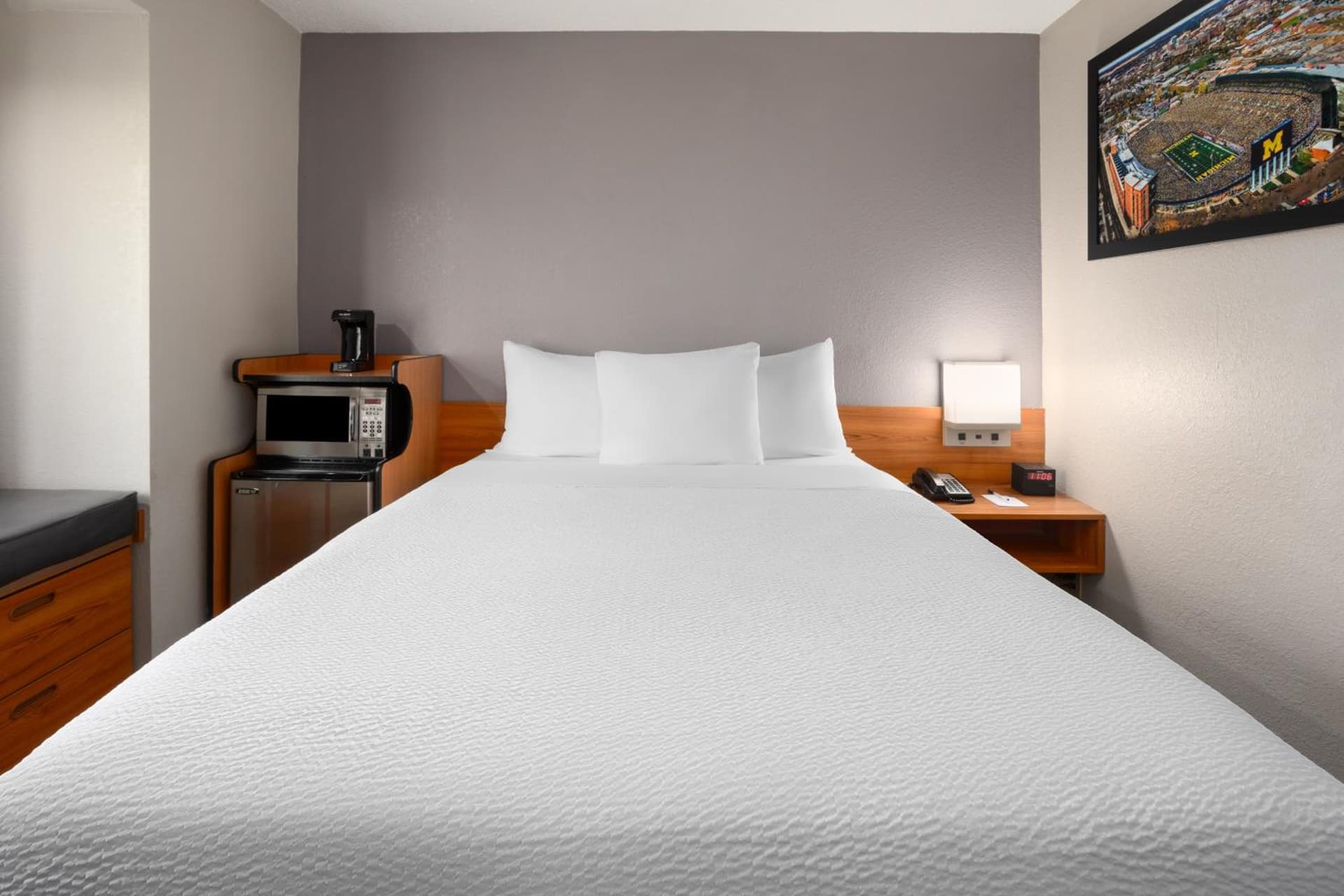 Microtel Inn & Suites by Wyndham Ann Arbor gallery photo in Ann Arbor, MI — image 38