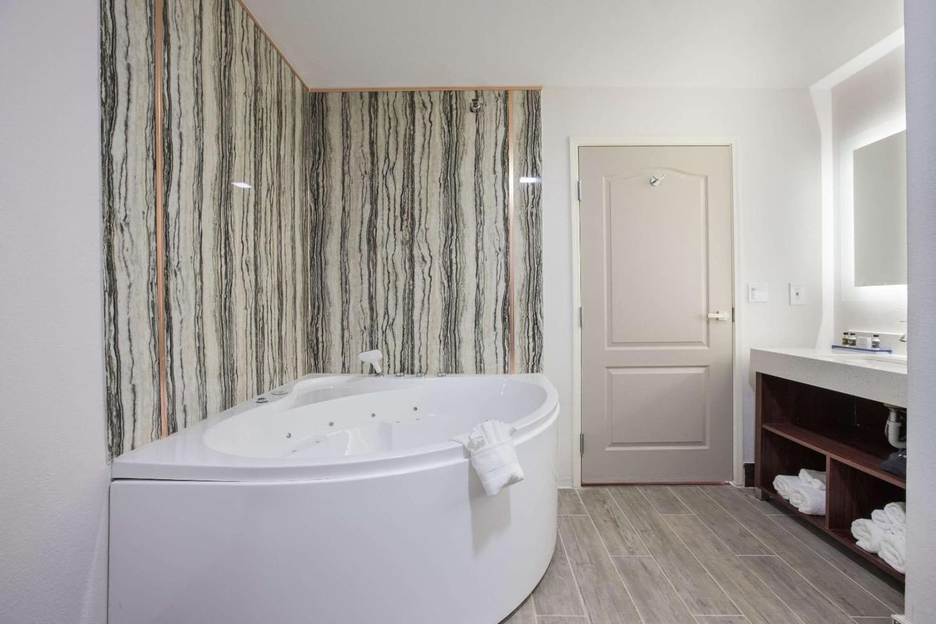 The Leo Collection Detroit, an Ascend Collection Hotel gallery photo in Lincoln Park, MI — image 50
