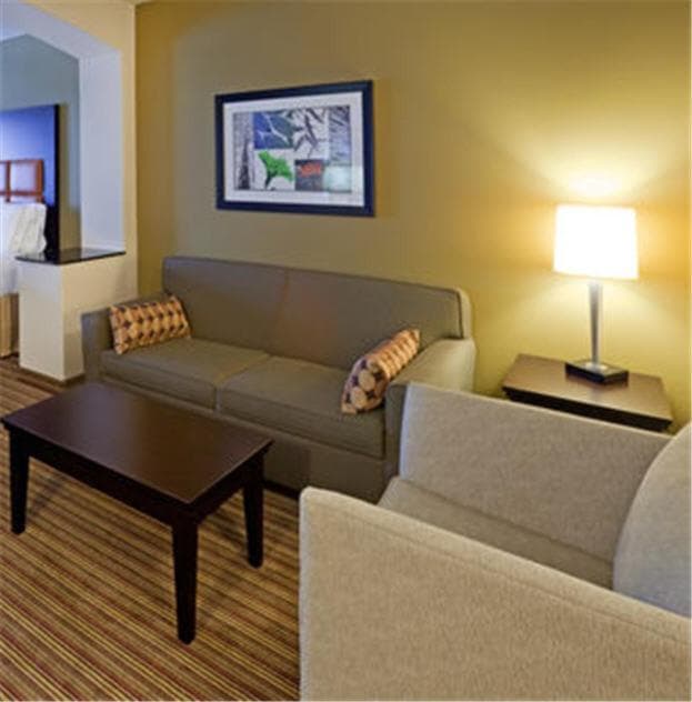 Holiday Inn Express Hotel & Suites Dallas West by IHG gallery photo in Dallas, TX — image 40